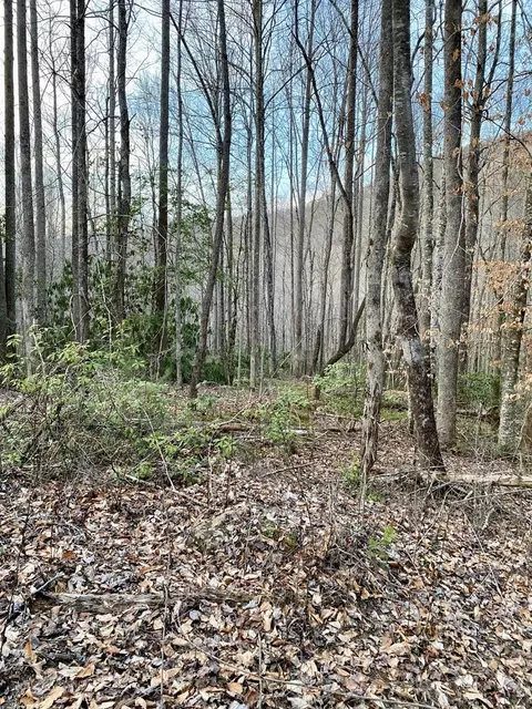 00 Carringer Rd, Robbinsville, NC 28771