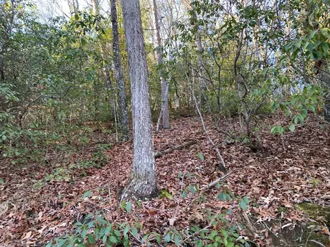 166 Qualla Trl, Murphy, NC 28906 photo 11