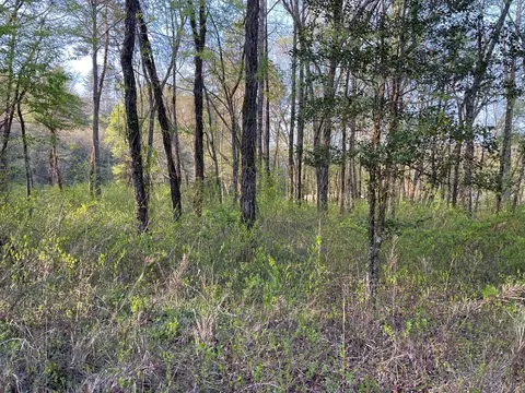 0 River Farm Dr, Murphy, NC 28906 photo 8