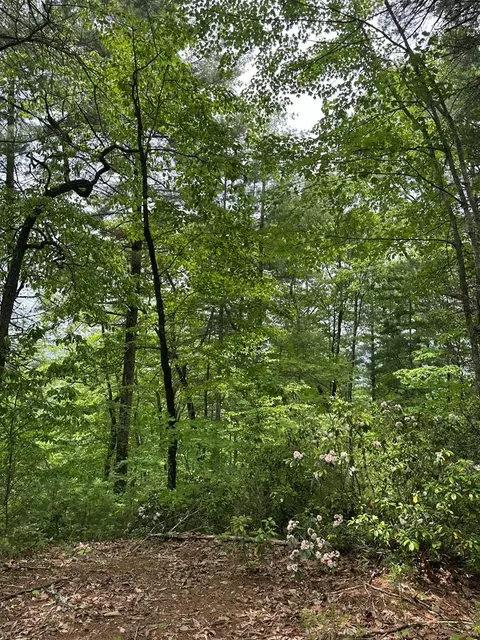 00 Top Horseshoe Rdg, Murphy, NC 28906 photo 6