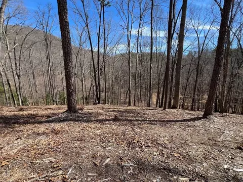 lot164 Tracks Holw, Murphy, NC 28906