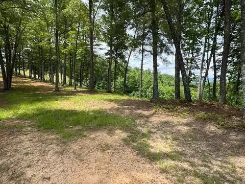 lot62 Thundering Hl, Murphy, NC 28906 photo 6