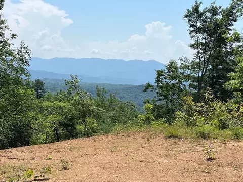 501 Clifftop Trl, Andrews, NC 28901
