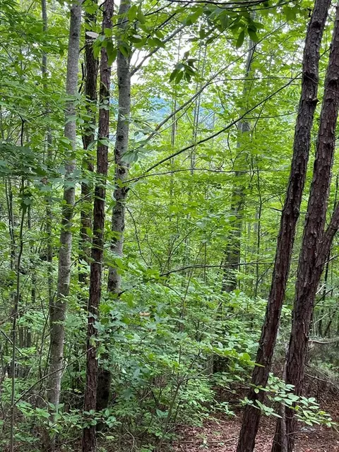 527 Farmers Top Drive, Murphy, NC 28906