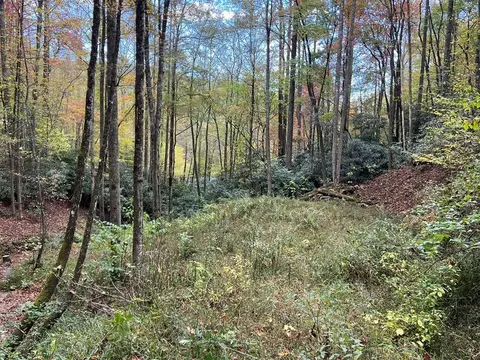 lot17 Black Bear Trl, Nantahala, NC 28781