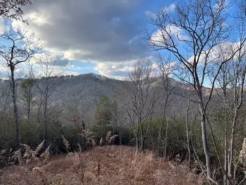2 02 Ac Viewforth, Nantahala, NC 28781