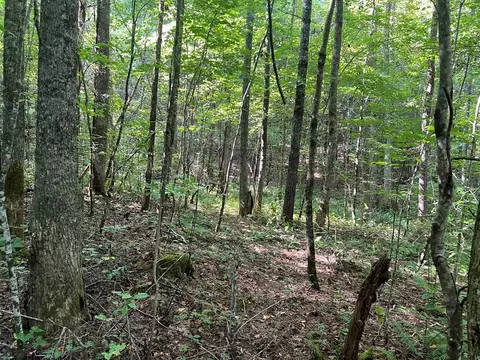 0 R J Mountain View Dr, Murphy, NC 28906 photo 6