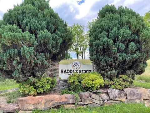 14 Saddle Ridge Farms # B, Warne, NC 28909