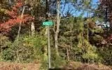2 Ashley Trl # B, Warne, NC 28909 photo 6