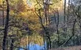 2 Ashley Trl # B, Warne, NC 28909 photo 4
