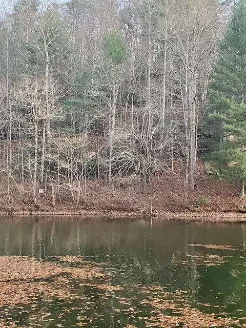 lot5 The Landings, Robbinsville, NC 28771