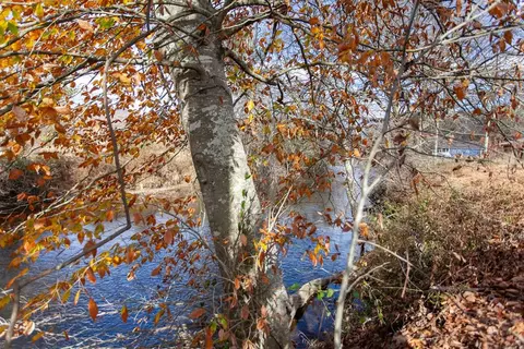 00 Leaping Trout, Marble, NC 28905 photo 5