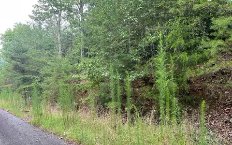 lot8 The Preserve, Brasstown, NC 28902