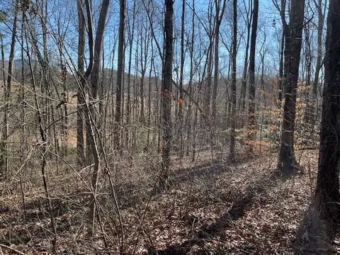 lot2 E The Woodlands, Hayesville, NC 28904