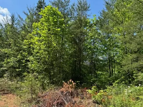 lot11 Paradise, Marble, NC 28905