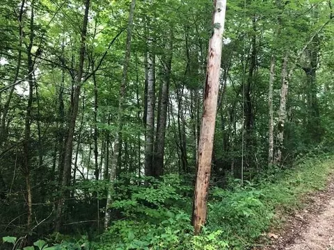00 Springwood Lk, Robbinsville, NC 28771