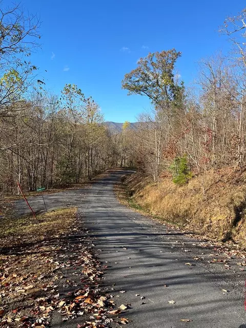 41 42 43 Rdgs, Hayesville, NC 28904