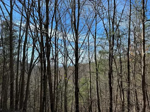 5 Lots Ali Dr, Hayesville, NC 28904