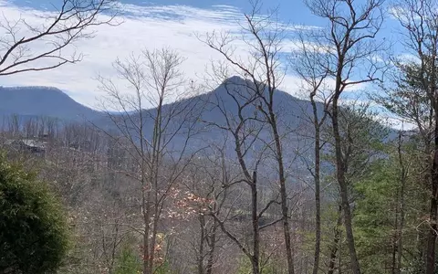lot42 Dan Knob, Hayesville, NC 28904
