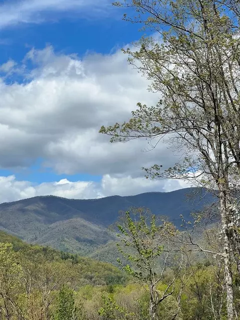 33 35 36 J Ash Br, Hayesville, NC 28904