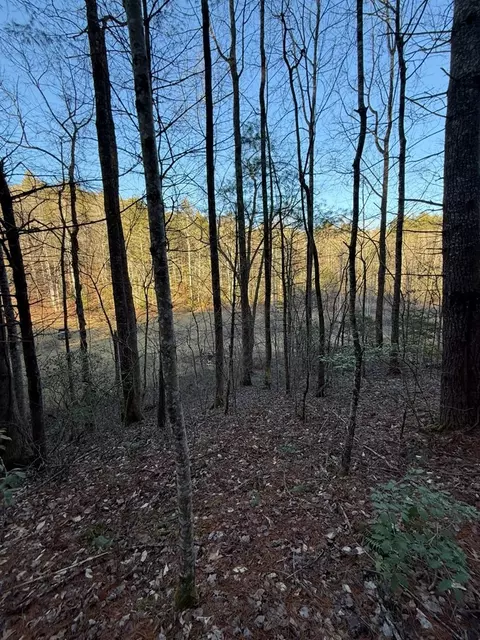 tbd Grape Creek Rd, Murphy, NC 28906 photo 5