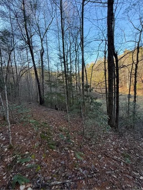 tbd Grape Creek Rd, Murphy, NC 28906 photo 6