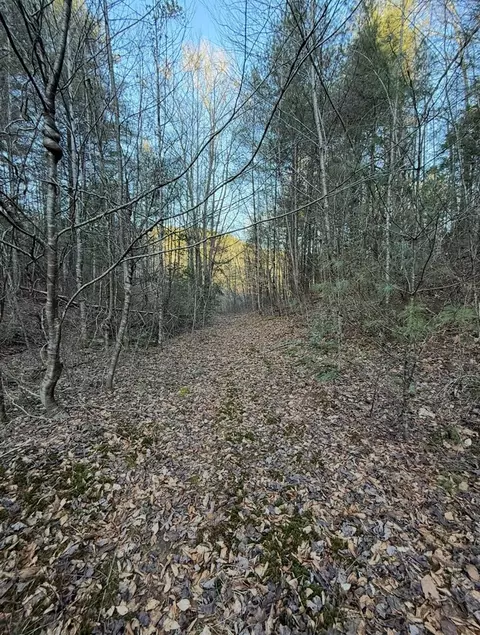 tbd Grape Creek Rd, Murphy, NC 28906 photo 19