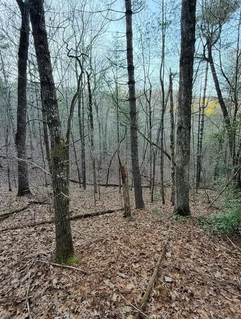 tbd Grape Creek Rd, Murphy, NC 28906 photo 10