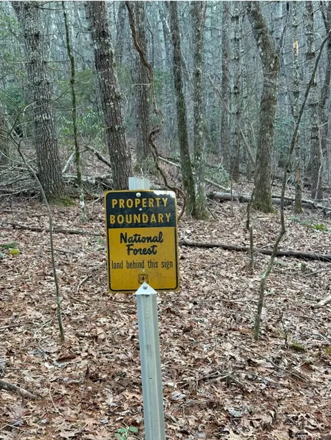 tbd Grape Creek Rd, Murphy, NC 28906 photo 9