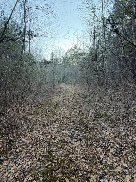 tbd Grape Creek Rd, Murphy, NC 28906 photo 18