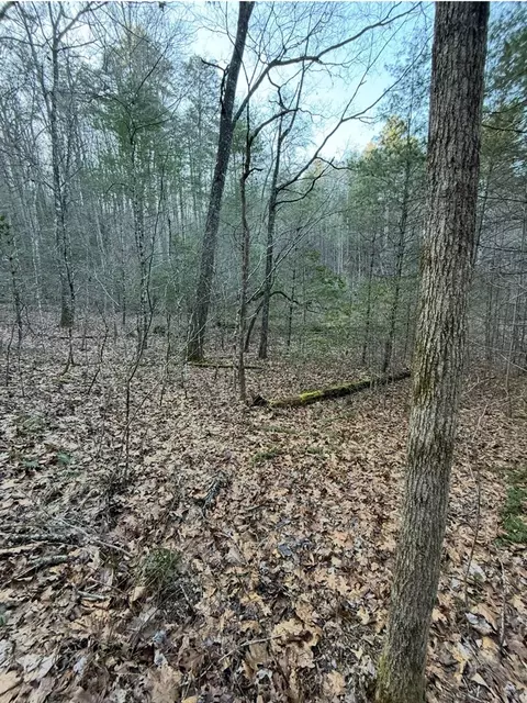 tbd Grape Creek Rd, Murphy, NC 28906 photo 12