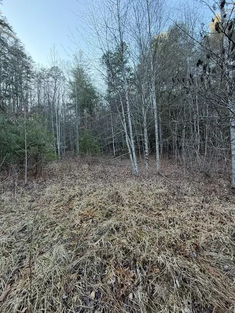 tbd Grape Creek Rd, Murphy, NC 28906 photo 17