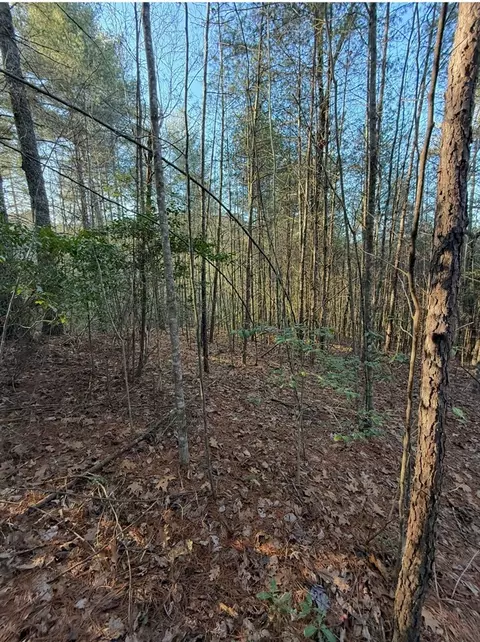tbd Grape Creek Rd, Murphy, NC 28906 photo 8