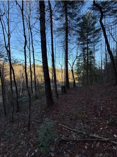 tbd Grape Creek Rd, Murphy, NC 28906 photo 3