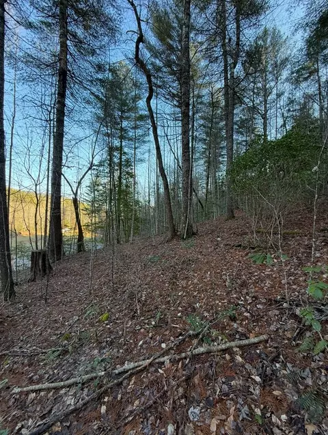 tbd Grape Creek Rd, Murphy, NC 28906 photo 4