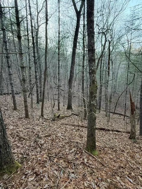 tbd Grape Creek Rd, Murphy, NC 28906 photo 11