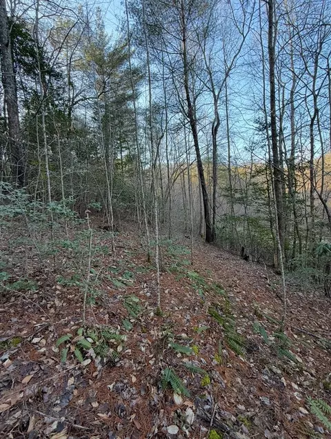 tbd Grape Creek Rd, Murphy, NC 28906 photo 7