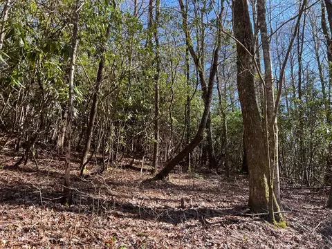 4 90 Wayah Rd, Nantahala, NC 28781