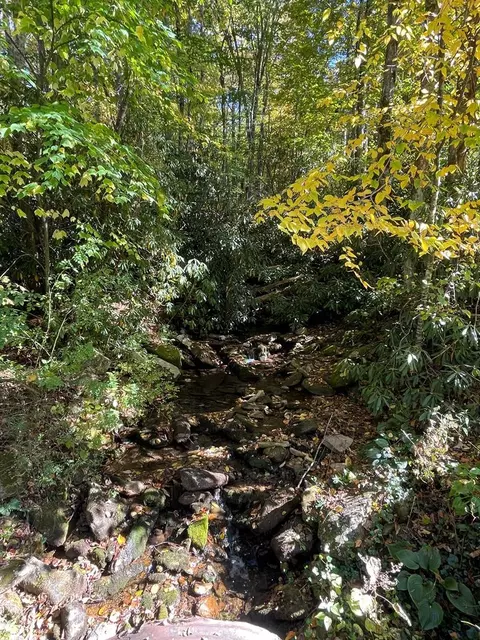 00 E Mill Crk, Robbinsville, NC 28771