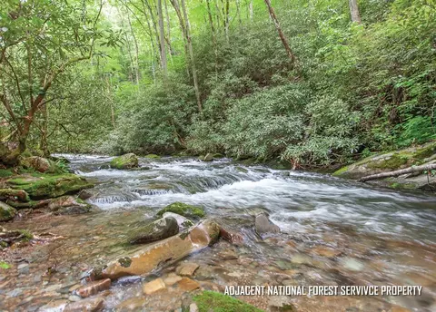 399 Shell Stand Rd, Almond, NC 28702 photo 21