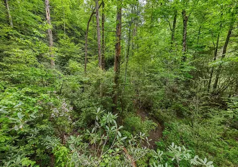 399 Shell Stand Rd, Almond, NC 28702 photo 9