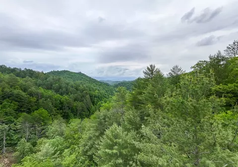 399 Shell Stand Rd, Almond, NC 28702 photo 18