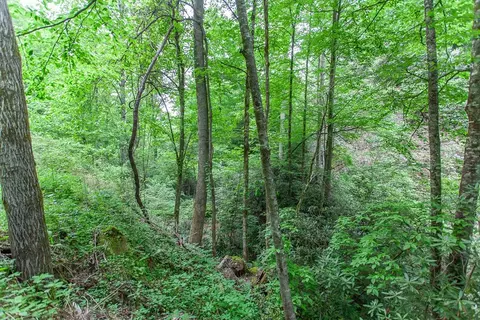 399 Shell Stand Rd, Almond, NC 28702 photo 20
