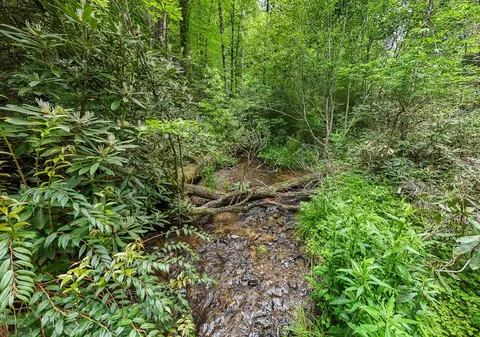 399 Shell Stand Rd, Almond, NC 28702 photo 8