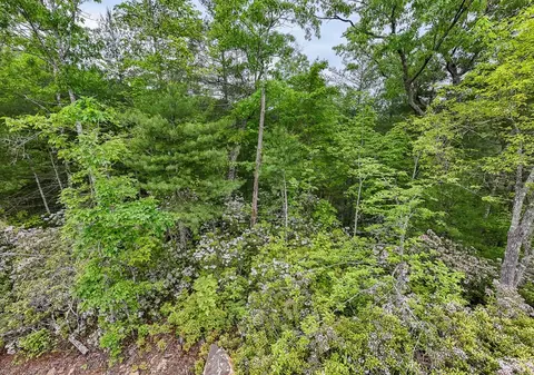 399 Shell Stand Rd, Almond, NC 28702 photo 15