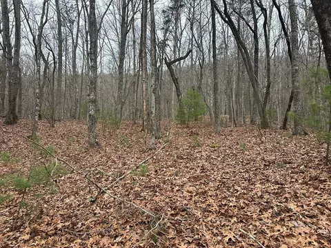 00 Marrestop, Murphy, NC 28906 photo 3