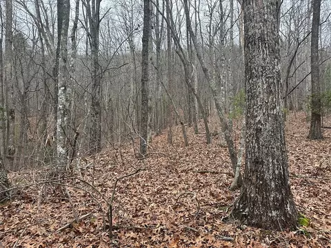 00 Marrestop, Murphy, NC 28906 photo 6