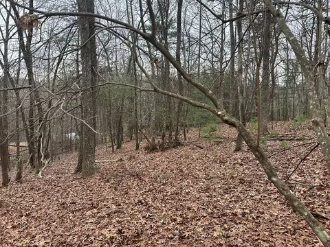 00 Marrestop, Murphy, NC 28906 photo 8