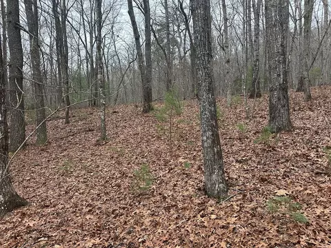00 Marrestop, Murphy, NC 28906 photo 4