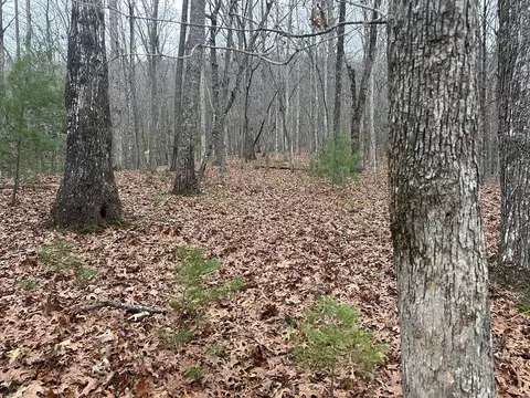 00 Marrestop, Murphy, NC 28906 photo 5